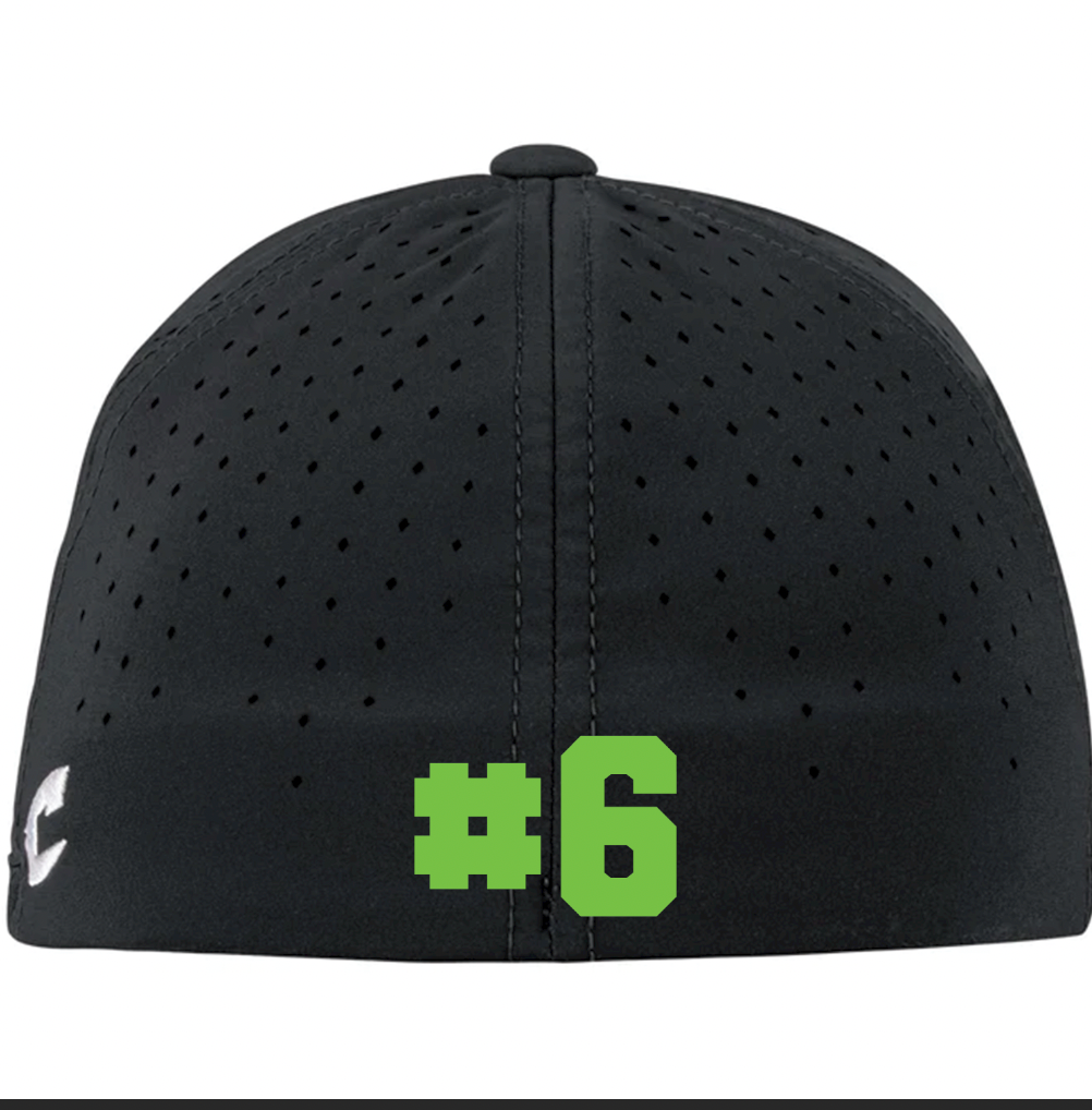 Chandler Bear Champro Perforated Flexfit Hat- Embroidered