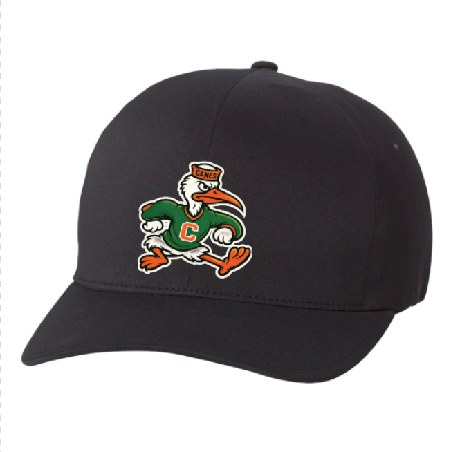 Eastside Canes Football Flexfit Delta Seamless