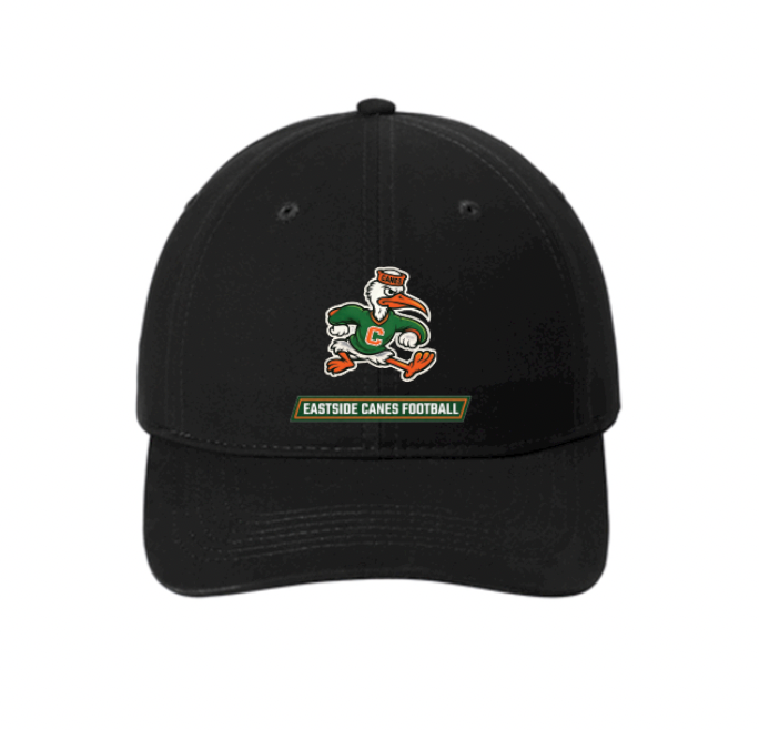 Eastside Canes Football Brushed Twill Dad Cap