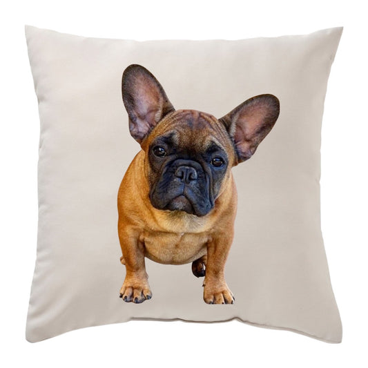 Custom Print 20X20 Pillow- Various Colors