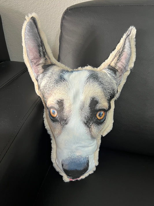 Custom Print Pillow- Various Sizes